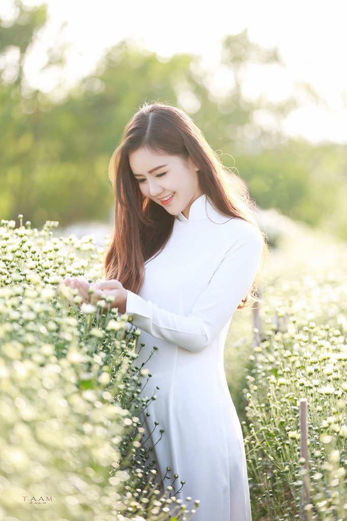 陷阱 致命的诱惑